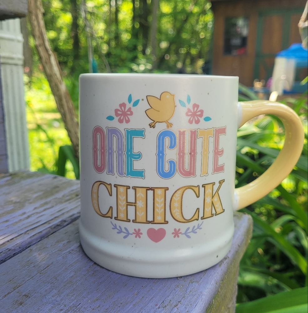 Coffee Mug One Cute Chick Homestead Chickens Pastel Farmhouse Easter 20 Oz